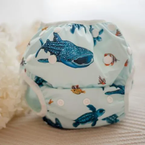 My Little Gumnut - MARINE LIFE - swimming nappy (18-36months)