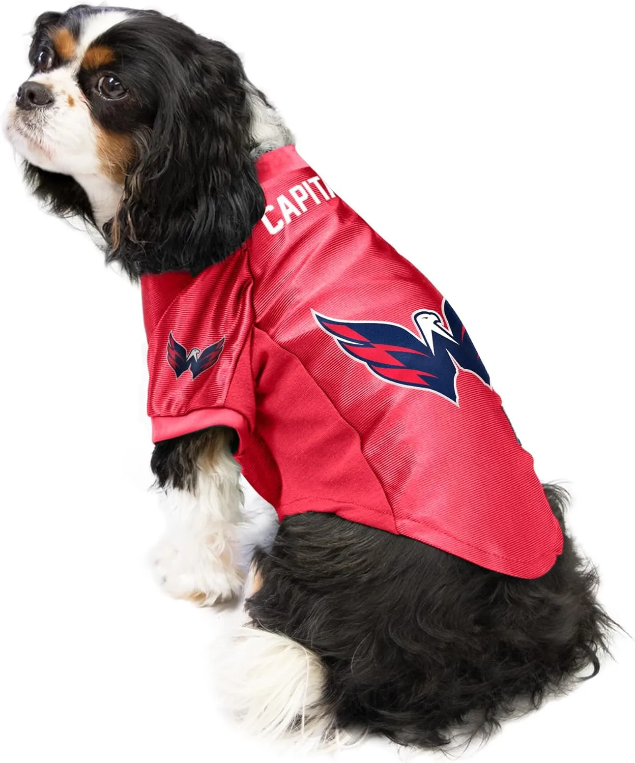 NHL Stretch Pet Jersey