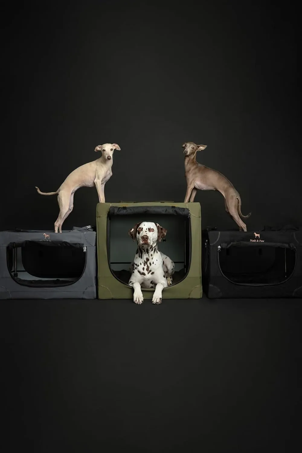 Noah & Paw Collapsible Dog Crate 26 Inch, Small Dog Crate for Small Medium Breeds, Travel Kennel for Car, Including Pet Mat for Pet Cage, 2 Storage Pockets, Handbag, 10mm Locking Zipper 26 * 17 * 17