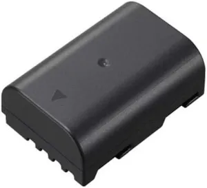 Panasonic DMW-BLF19 Lithium-Ion Battery Pack (Black)