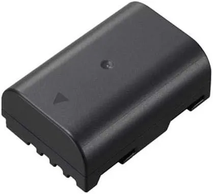 Panasonic DMW-BLF19 Lithium-Ion Battery Pack (Black)