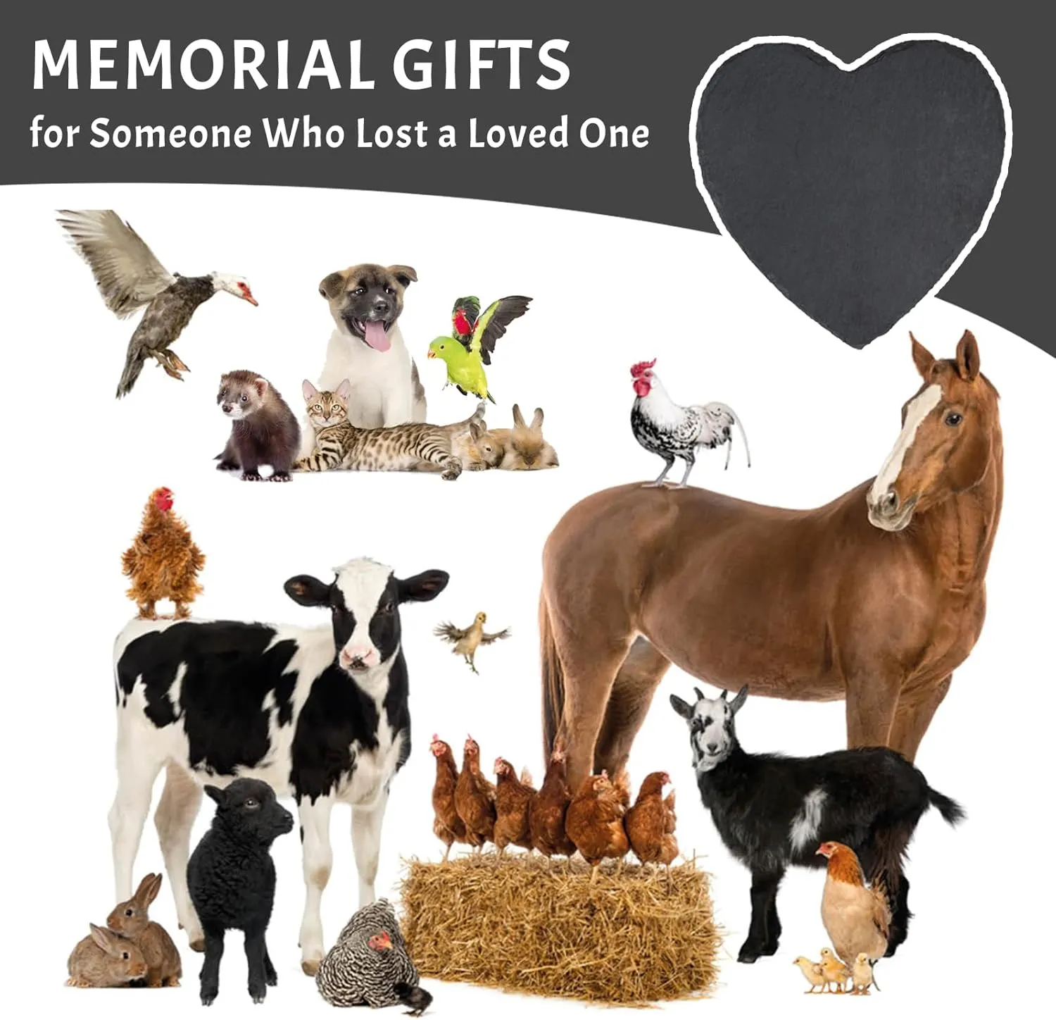 Personalized Pet Guniea Pig Memorial Stones with Photo, Guniea Pig Headstone Gravestone, Hamster Memorial Plaque Headstone, Custom Pet Memorial Sympathy Gifts for Loss of Guniea Pig Hamster