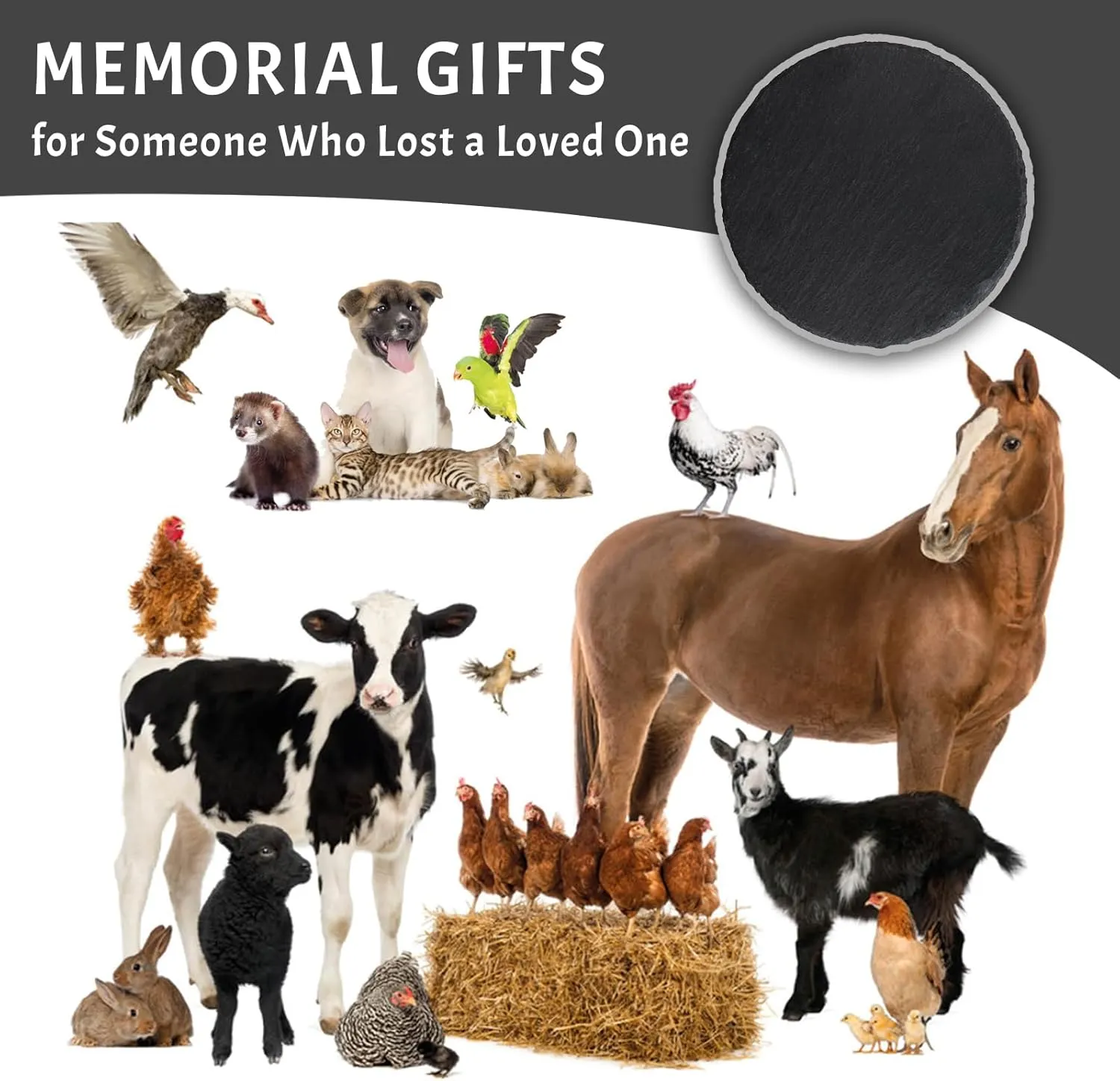 Personalized Pet Memorial Gifts for Loss of Bearded Dragon, Custom Photo Pet Memorial Stone for Bearded Dragon, Lizard Memorial Stone, Bearded Dragon Grave Marker Headstone Remembrance Plaque