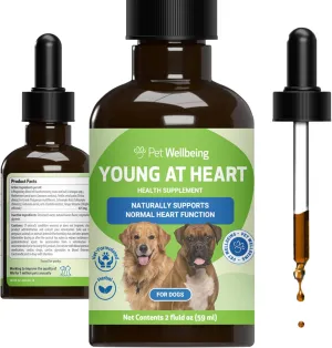 Pet Wellbeing Young at Heart for Dogs - Heart Health, Circulatory & Cardiovascular System, Hawthorn, Motherwort, Schisandra - Veterinarian-Formulated Herbal Supplement 2 fl oz (59 ml)