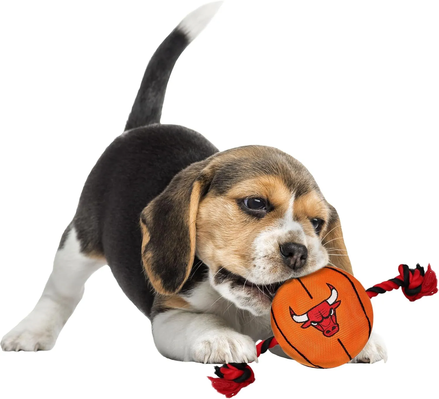 Pets First NBA Chicago Bulls Basketball Toy. - Tough Nylon Pet Toy with Tug Ropes & Inner Squeaker, One Size, BUL-3105