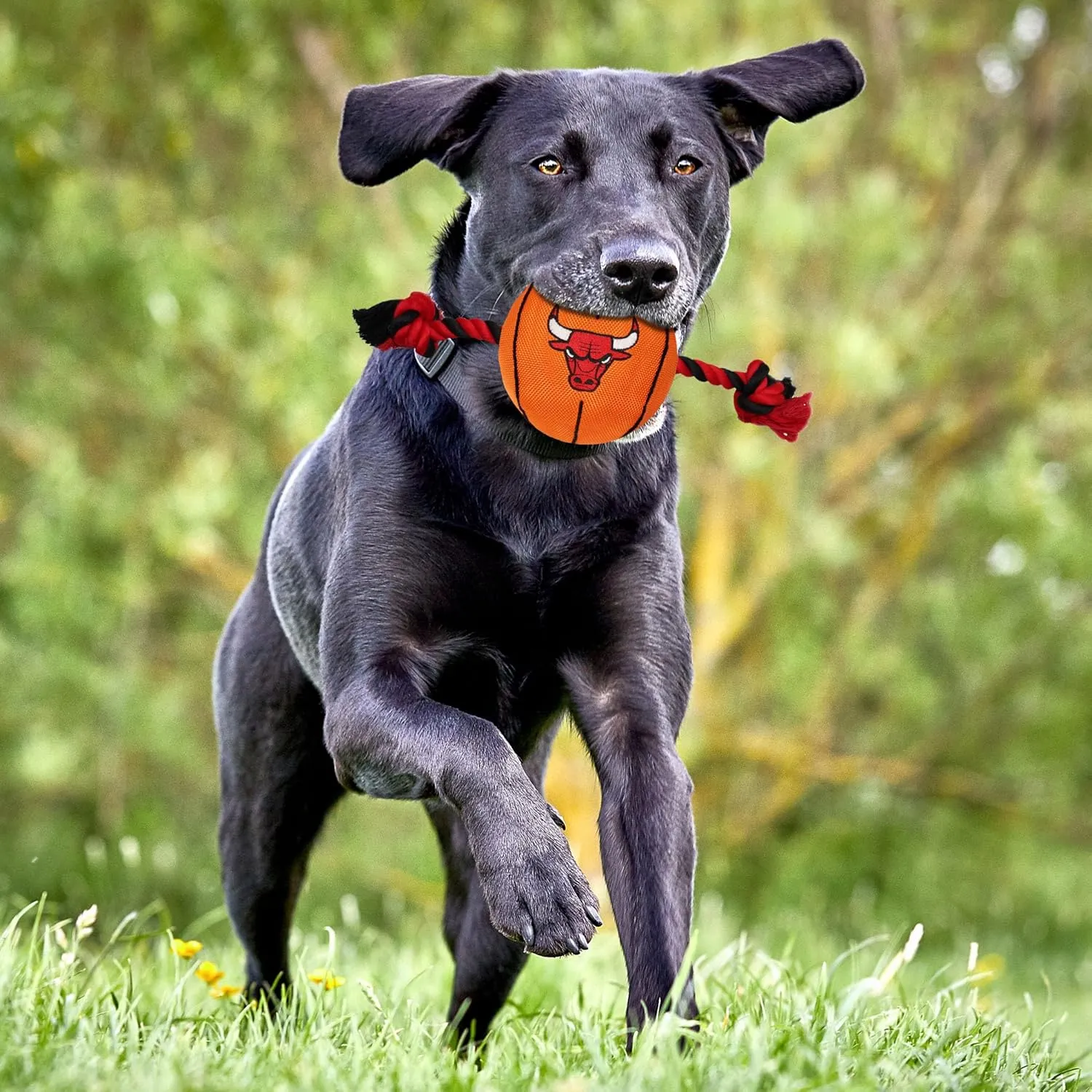 Pets First NBA Chicago Bulls Basketball Toy. - Tough Nylon Pet Toy with Tug Ropes & Inner Squeaker, One Size, BUL-3105