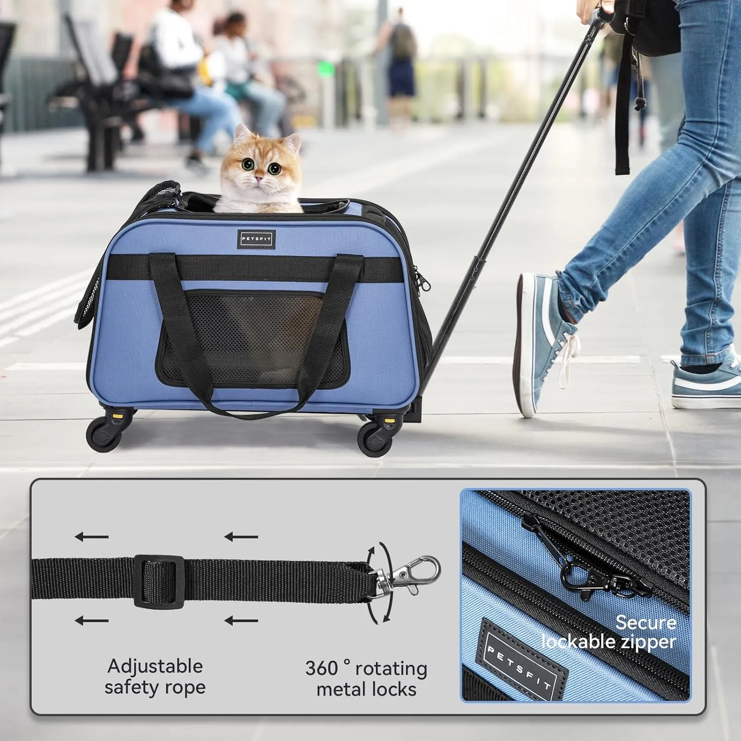 Petsfit Pet Carrier with Wheels, Rolling Cat Carrier for 2 Small Cats, Airline Approved Pet Carrier with Telescopic Handle Perfect for Travelling Under 15lb,Blue