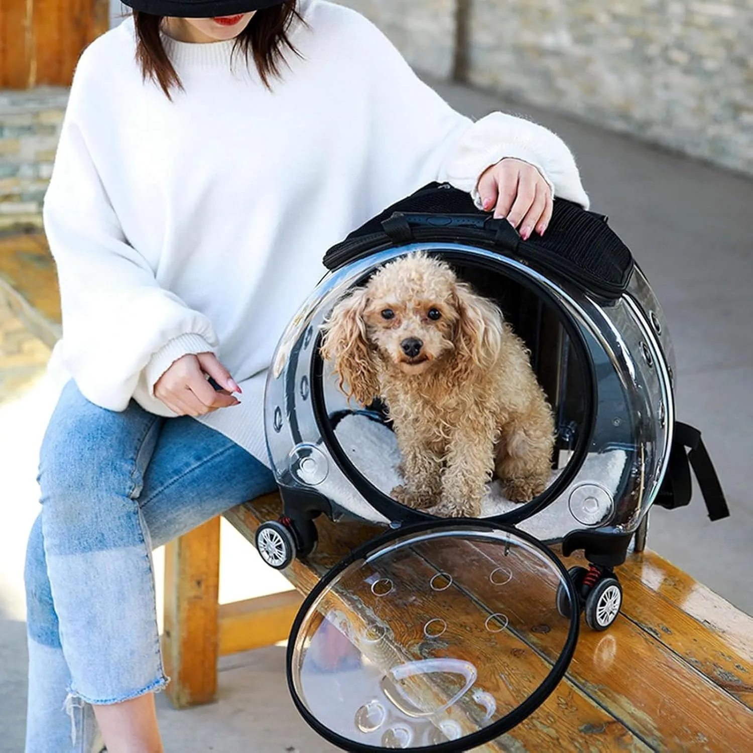 Portable Wheeled Pet Carrier for Cats & Dogs, Travel Bag with Foldable Design, Holds up to 5kg, Breathable Rolling Pet Carrier, Extendable Handle
