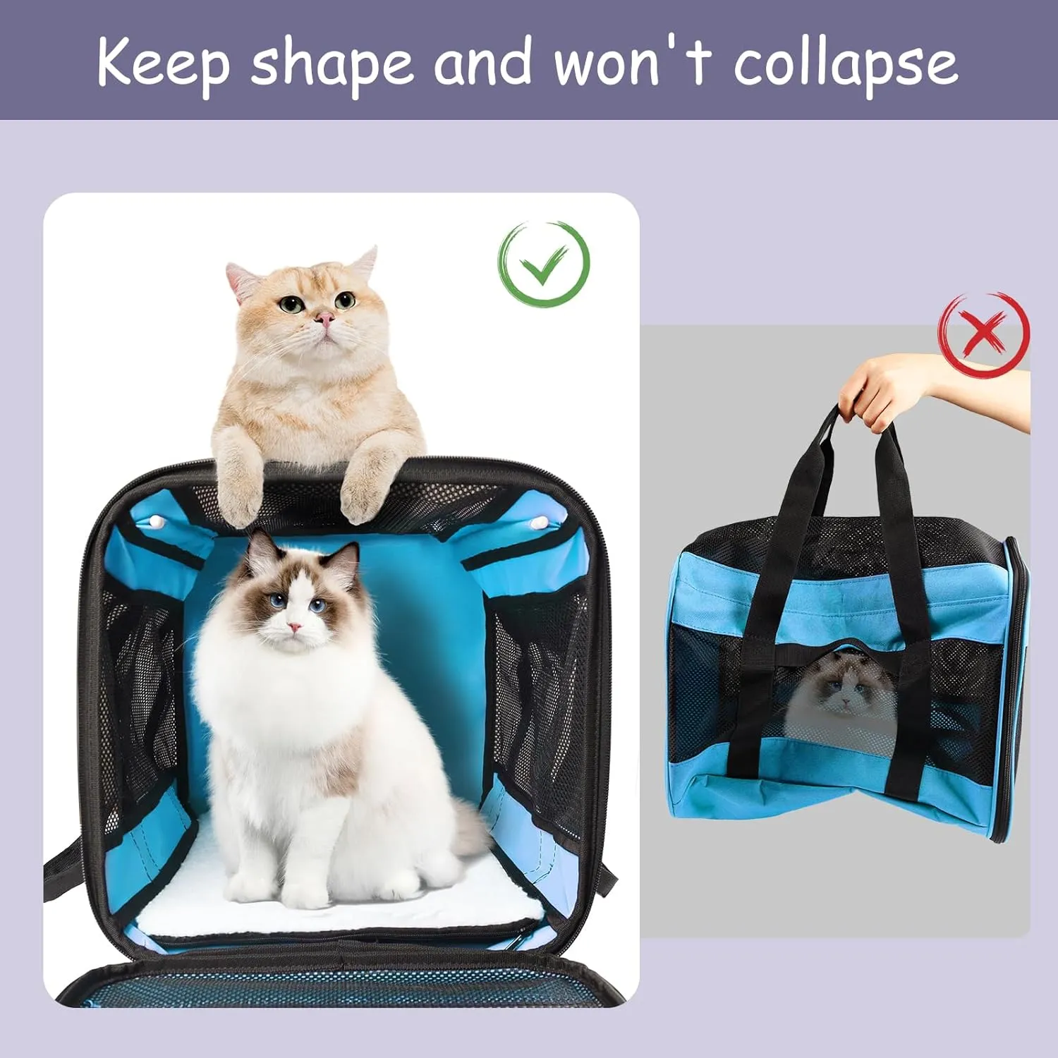 Prodigen Cat Carrier Dog Carriers for Small Dogs Soft Slided Airline Approved Collapsible Pet Travel Carrier, Small (16.3" L x 11.8" H x 12.4" W)