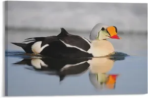 River Reflection King Eider Duck Room Aesthetics Posters Canvas Posters Bedroom Decoration Sports Office Decoration Gifts Wall Art Decoration Printing Posters 08x12inch(20x30cm)