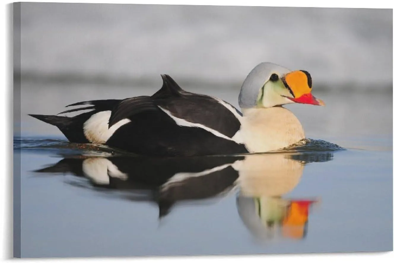 River Reflection King Eider Duck Room Aesthetics Posters Canvas Posters Bedroom Decoration Sports Office Decoration Gifts Wall Art Decoration Printing Posters 08x12inch(20x30cm)