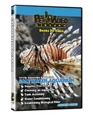 SALTWATER FISH AQUARIUM ! Set-up, Aquascape & Maintenance
