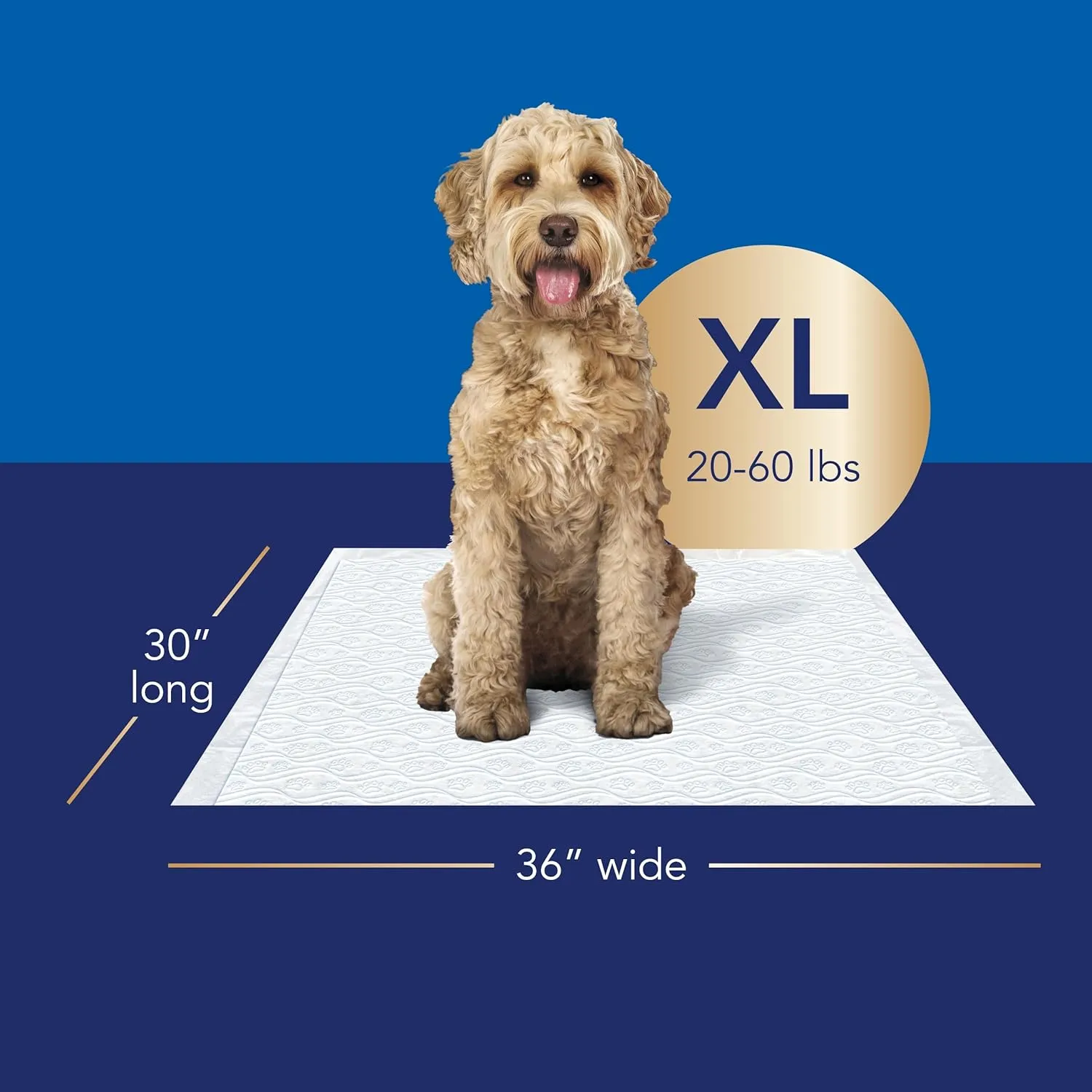 Scott Pet Guard Advanced Dog Pads - XL Dog Training Pee Pads - 16 Hour Absorbency & Odor Control - Softest Quilted - 30" x 36" - 40 Pack