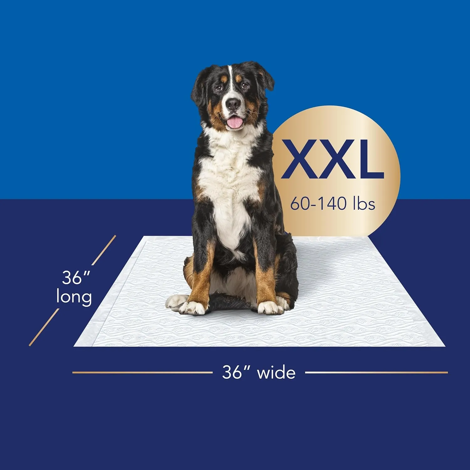 Scott Pet Guard Advanced Dog Pee Pads - Extra Large Absorbency & Odor Control - Softest Quilted Pads - XXL - 36" x 36" - 40 Pack