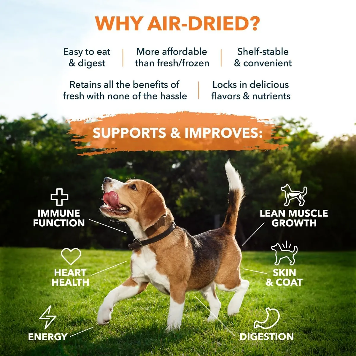 Sensitive Stomach Dog Food 3.65 lbs - 100% Human Grade Air Dried Dog Food Beef - All Natural USA Grass Fed Beef - Limited Ingredients - Dehydrated - Complete Meal or Topper - Small Dog 1 Month Supply