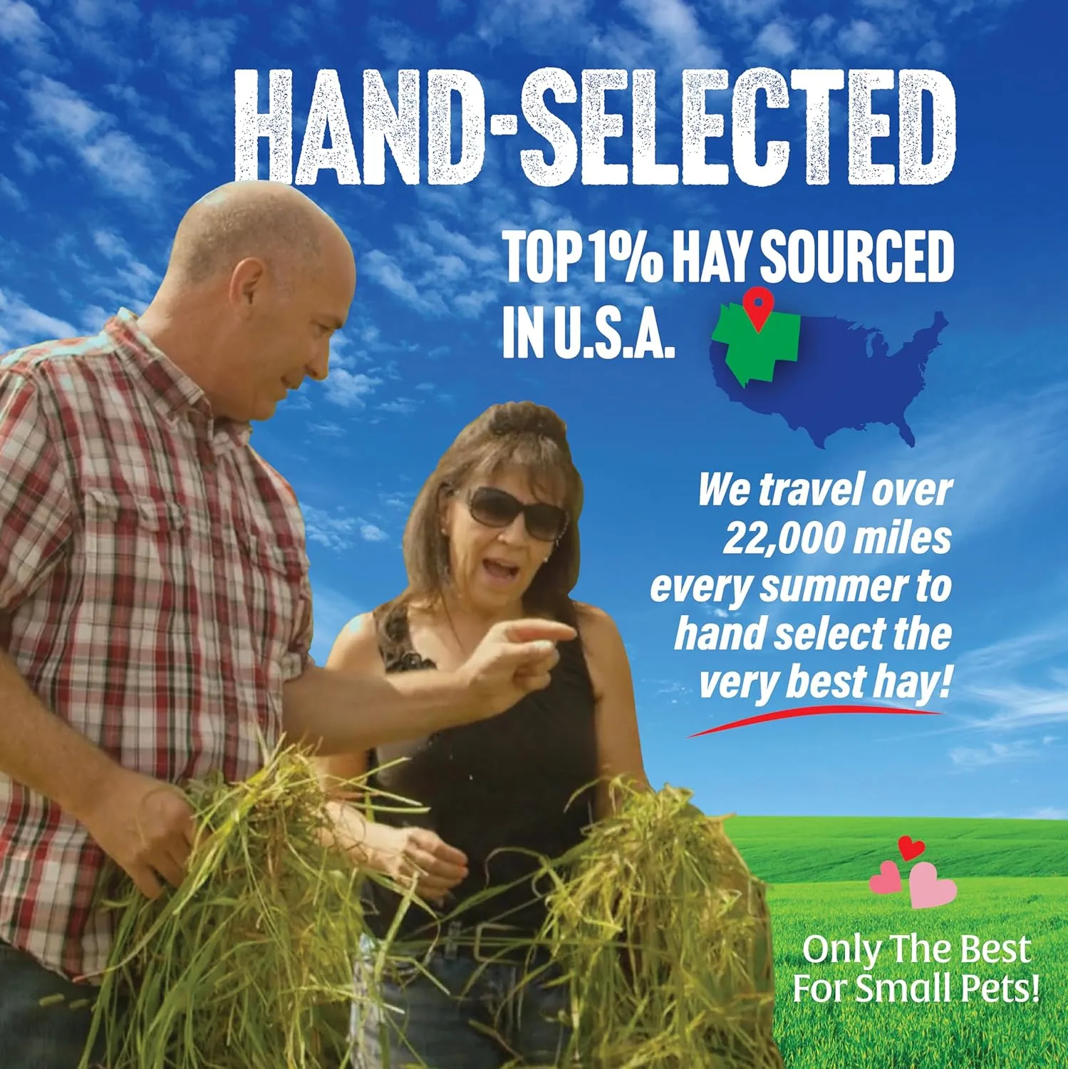 Small Pet Select Alfalfa Hay Pet Food, 2 lb.