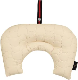 Stroller Cushion for Pets, Bolster, BerryMore Edition, Harryspet, Pet Pillows, Pet Strollers (Ivory Mint, Regular(12-15"))