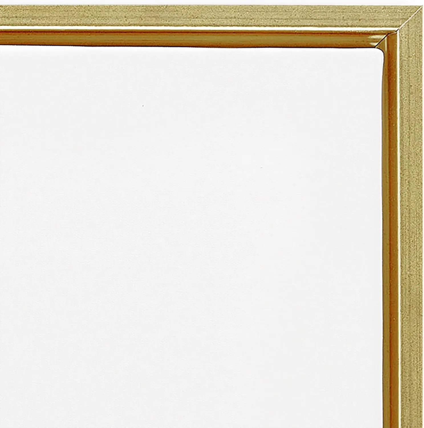 Stupell Industries Flowers in Silver Bag Gold Framed Floater Canvas Wall Art, design by Madeline Blake, 25 x 25