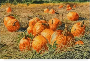Trademark Fine Art, 12x19-Inch Pumpkin Harvest by Michael Davidoff