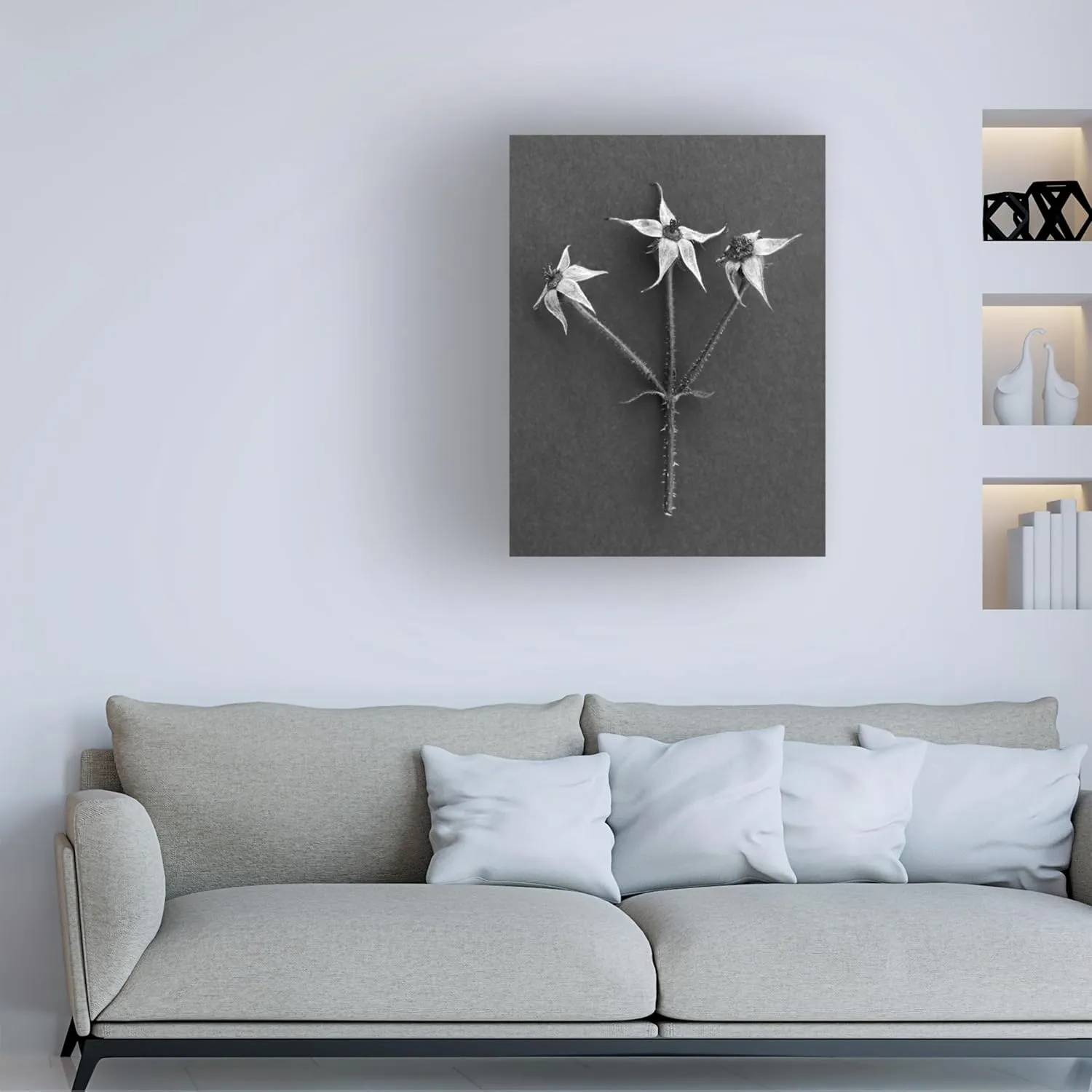Trademark Fine Art Canvas Wall Art - Berry Rosenthal 'Rose Hip' Wall Art for Living Room, Bedroom, or Office Décor
