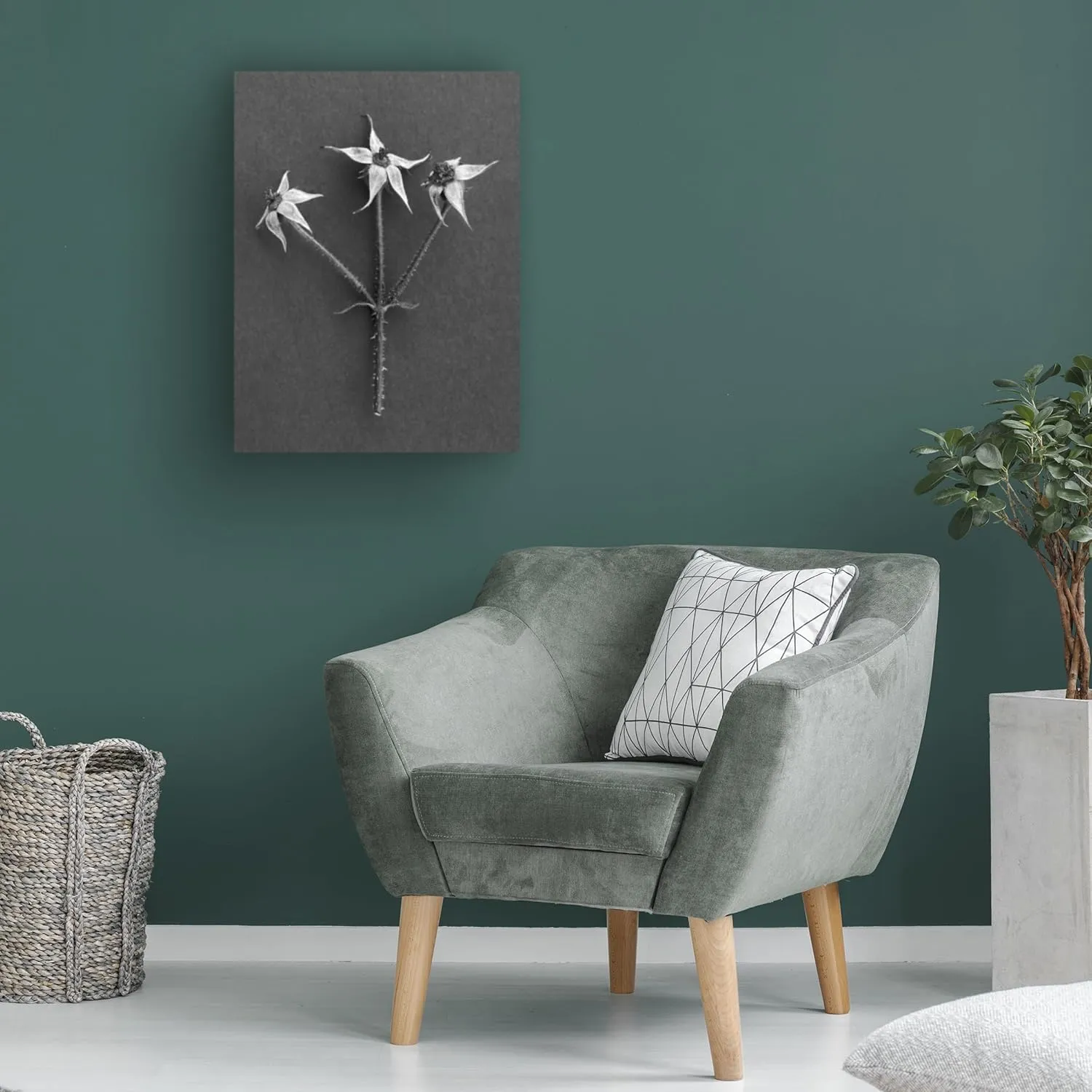 Trademark Fine Art Canvas Wall Art - Berry Rosenthal 'Rose Hip' Wall Art for Living Room, Bedroom, or Office Décor