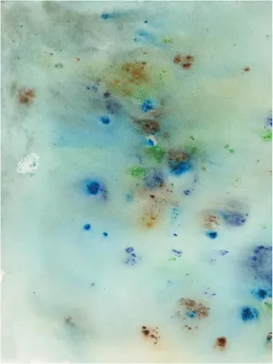 Trademark Fine Art Canvas Wall Art - Jodi Fuchs 'Hawaiian Rain II' Wall Art for Living Room, Bedroom, or Office Décor 14 x 19 Inches