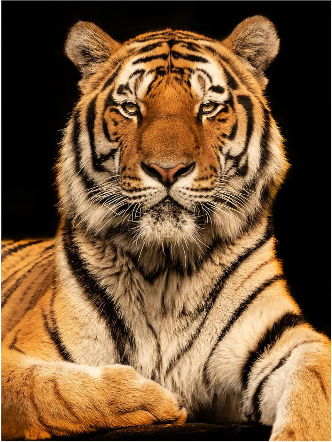 Trademark Fine Art Canvas Wall Art - Jorg Zimmermann 'I C U' Wall Art for Living Room, Bedroom, or Office Décor