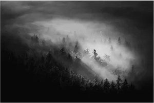 Trademark Fine Art Canvas Wall Art - Rado Gadoczi 'Misty' Wall Art for Living Room, Bedroom, or Office Décor