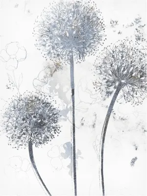 Trademark Fine Art Canvas Wall Art - Sasha 'Wedgewood Allium' Wall Art for Living Room, Bedroom, or Office Décor 14 x 19 Inches