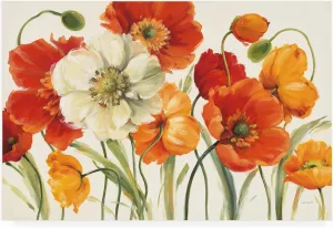 Trademark Fine Art ' Poppies Melody I ' Outdoor Canvas by Lisa Audit 22x32