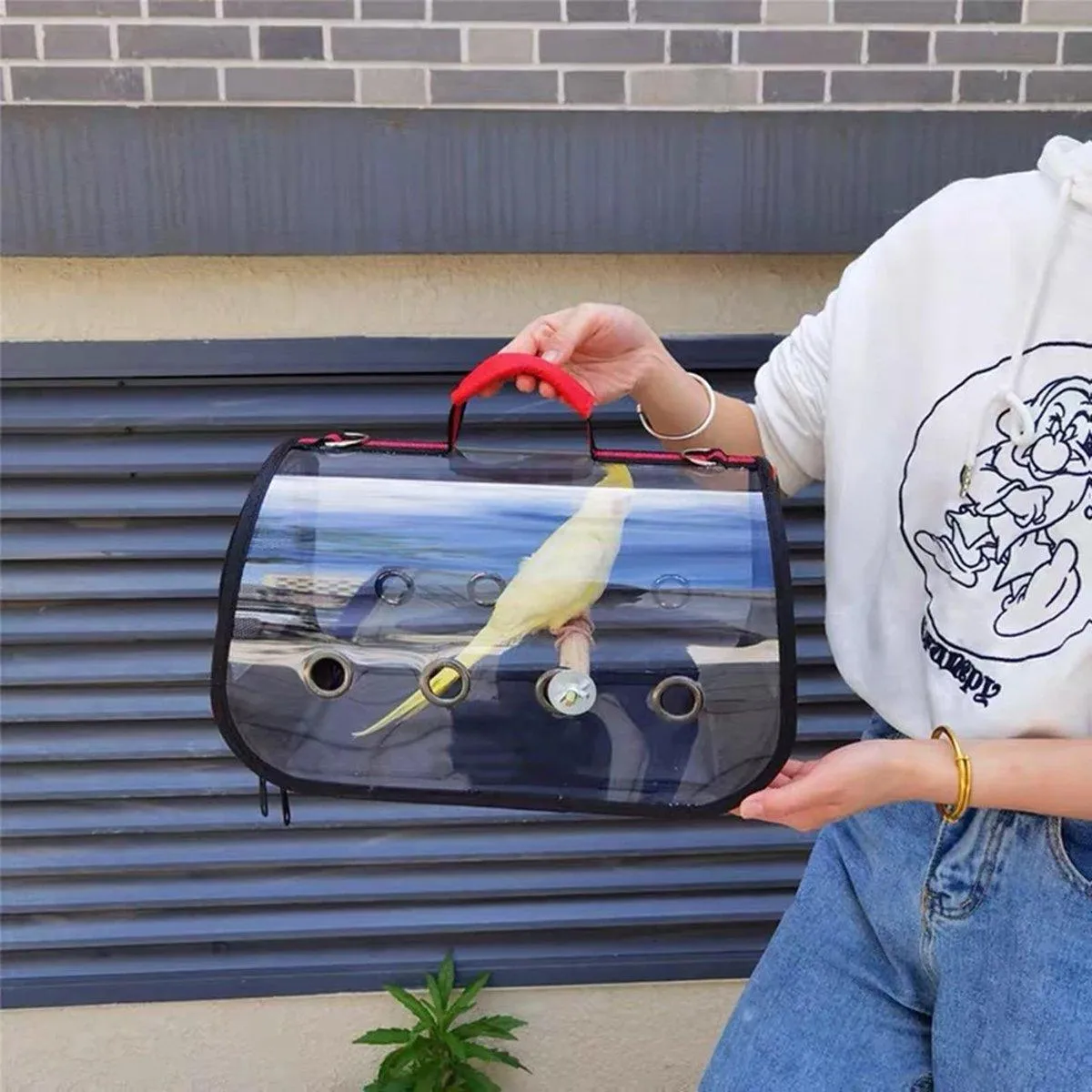 Transparent Portable Parrot Carrier Travel Bird Cage Bag