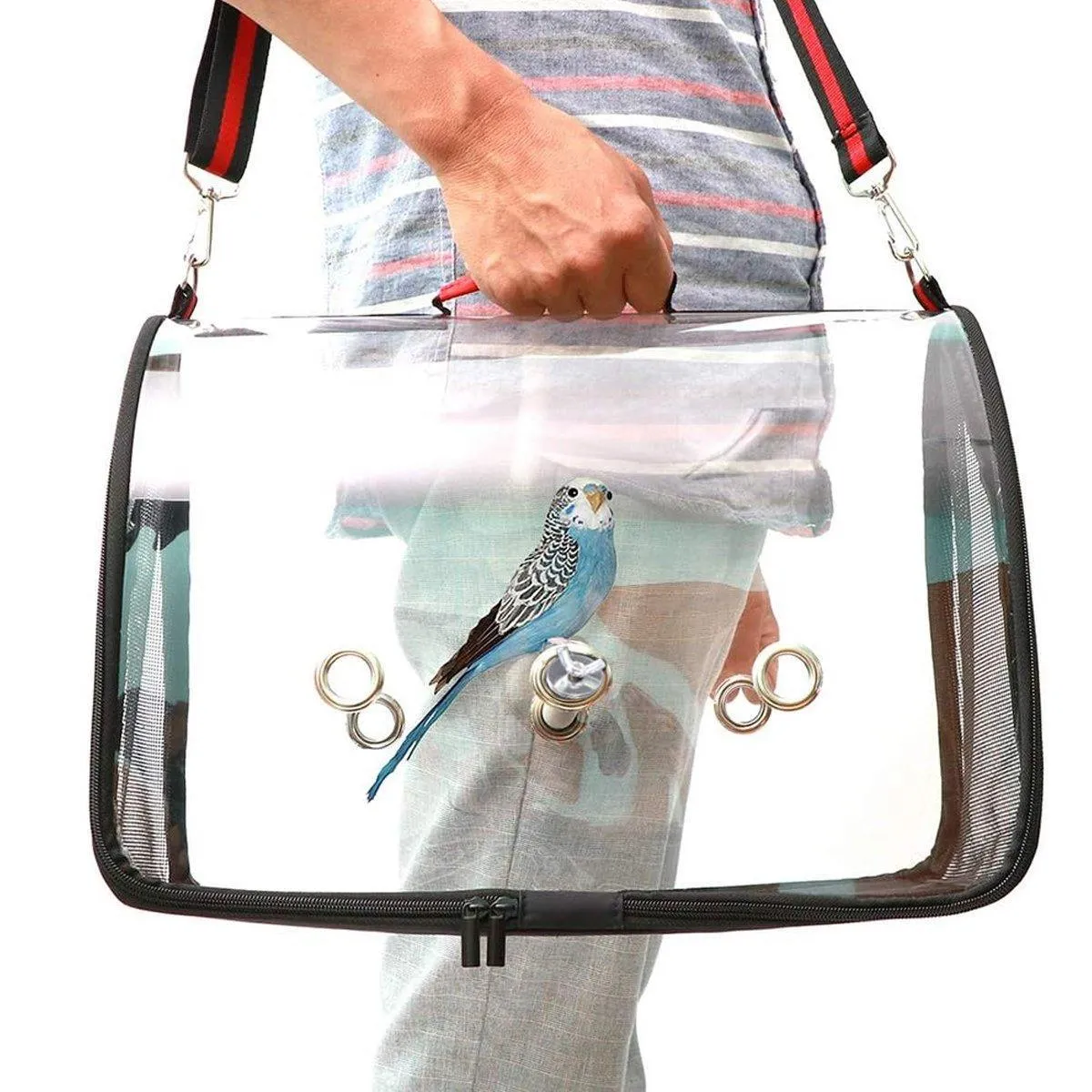 Transparent Portable Parrot Carrier Travel Bird Cage Bag