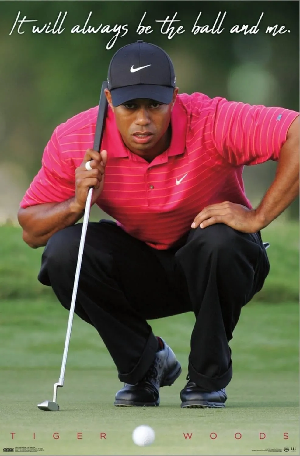 Trends International Tiger Woods - The Ball & Me Wall Poster, 14.72" x 22.37", Stretched Canvas