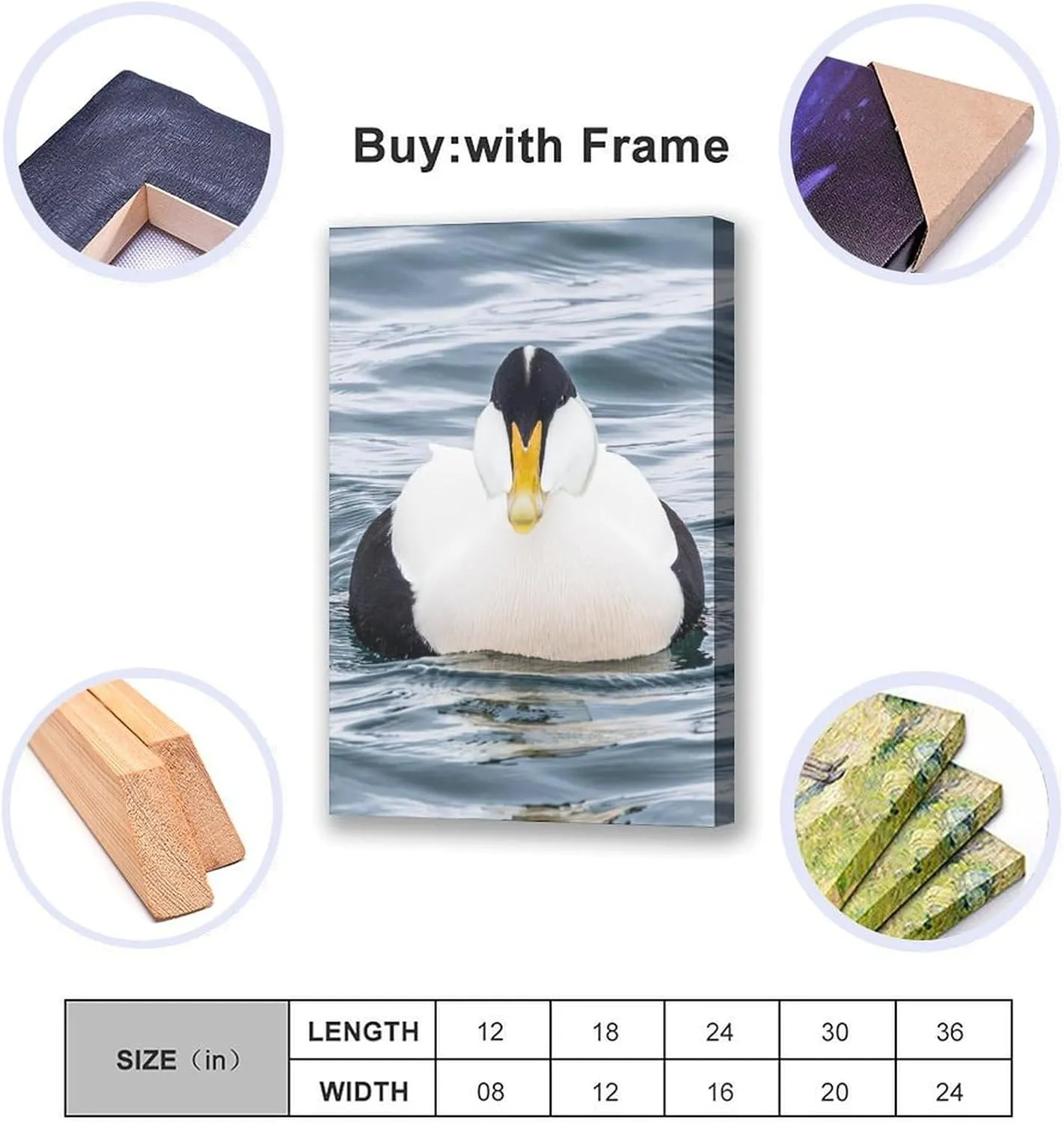 Water Duck Common Eider Room Aesthetics Posters Canvas Posters Bedroom Decoration Sports Office Decoration Gifts Wall Art Decoration Printing Posters 12x18inchs(30x45cm)
