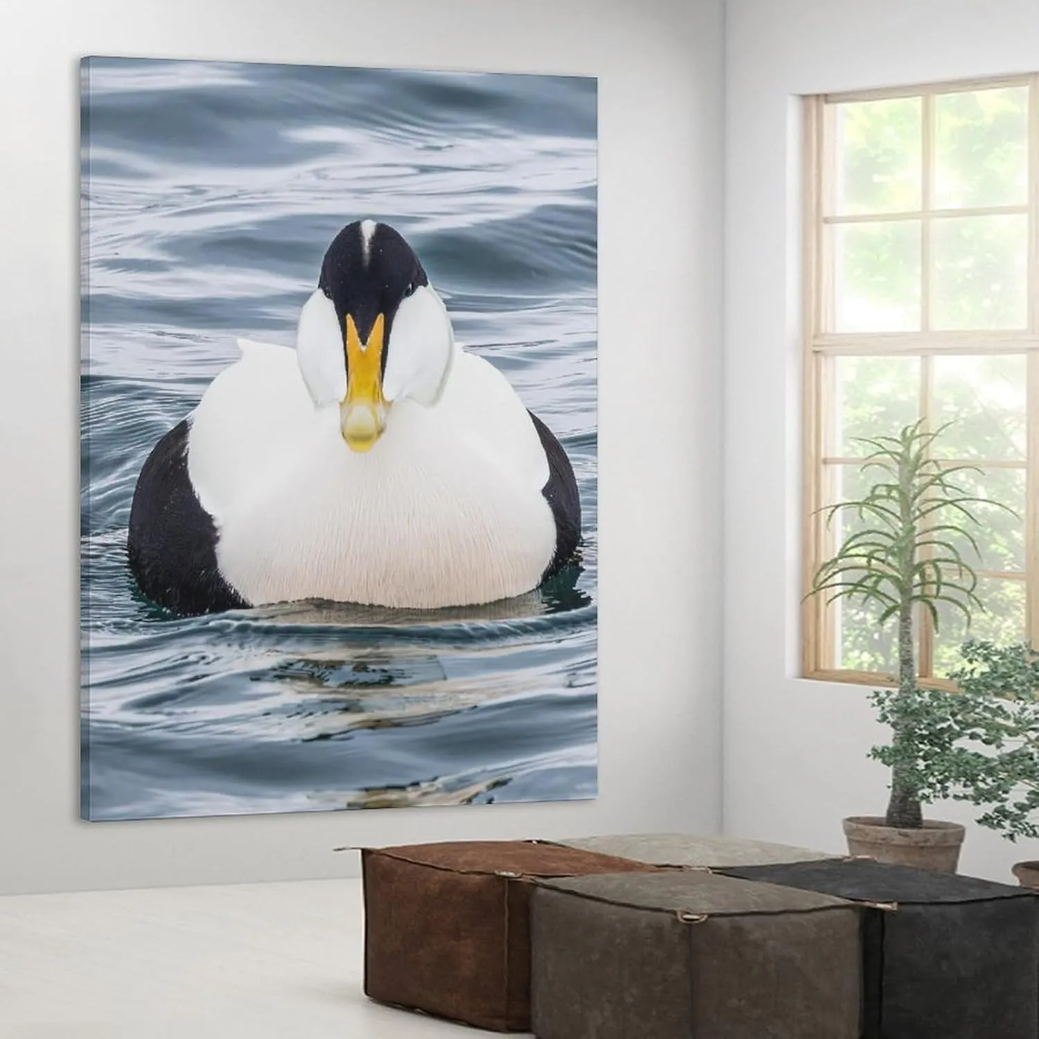 Water Duck Common Eider Room Aesthetics Posters Canvas Posters Bedroom Decoration Sports Office Decoration Gifts Wall Art Decoration Printing Posters 12x18inchs(30x45cm)