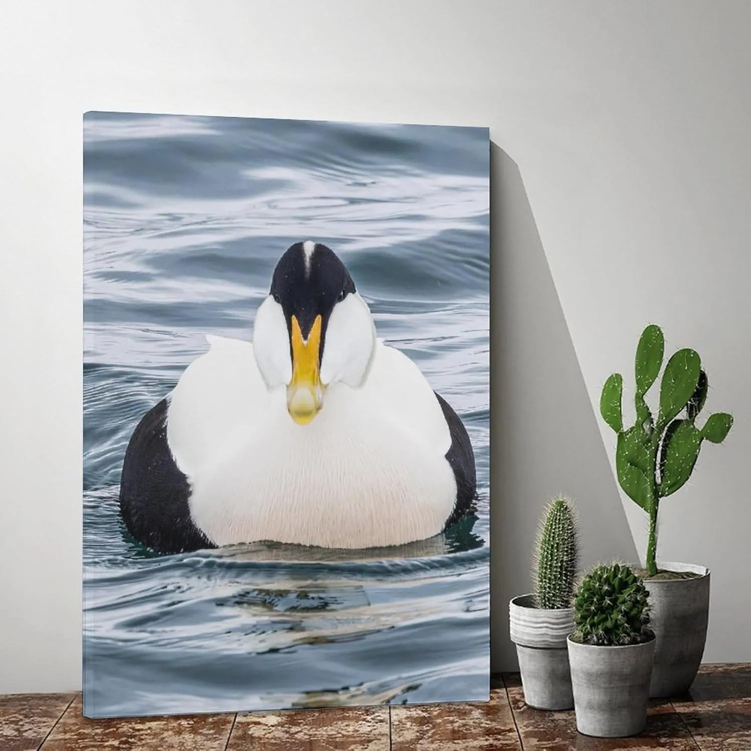 Water Duck Common Eider Room Aesthetics Posters Canvas Posters Bedroom Decoration Sports Office Decoration Gifts Wall Art Decoration Printing Posters 12x18inchs(30x45cm)