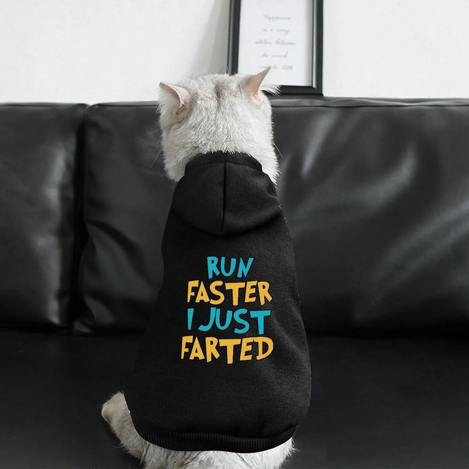Yepp I Just Farted Basic Dog Hoodie Sweatshirt Graphic Warm Cat Clothes Sweater Coat